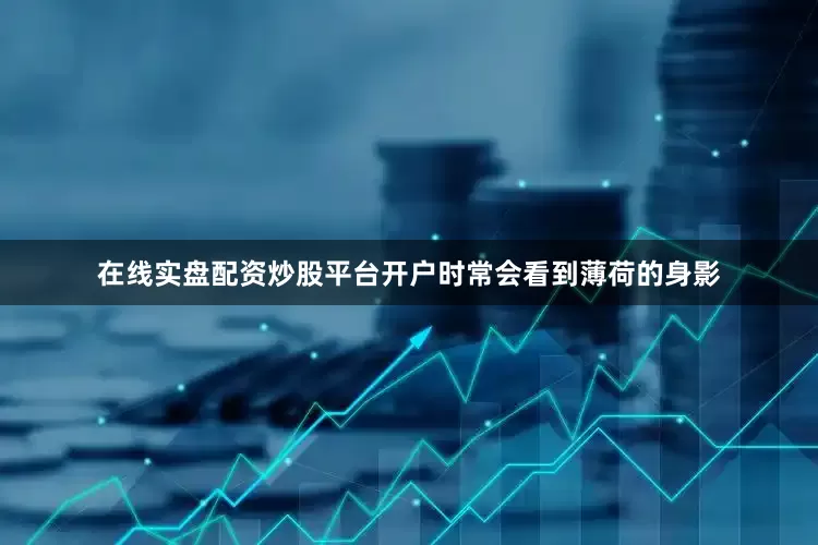 在线实盘配资炒股平台开户时常会看到薄荷的身影