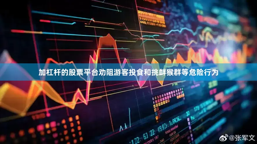 加杠杆的股票平台劝阻游客投食和挑衅猴群等危险行为