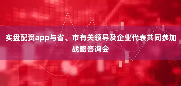 实盘配资app与省、市有关领导及企业代表共同参加战略咨询会