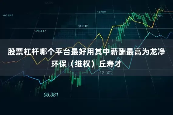 股票杠杆哪个平台最好用其中薪酬最高为龙净环保（维权）丘寿才