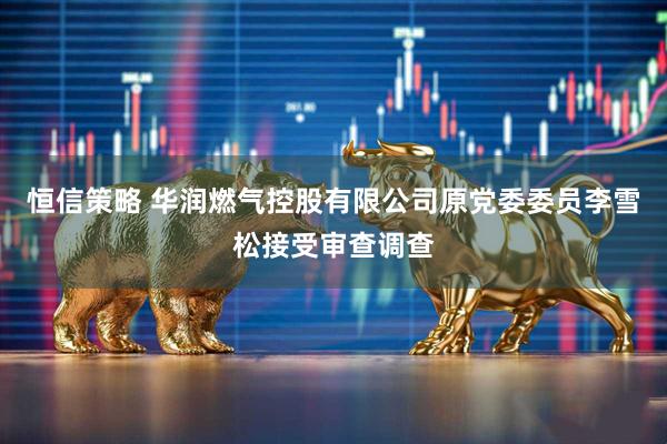 恒信策略 华润燃气控股有限公司原党委委员李雪松接受审查调查