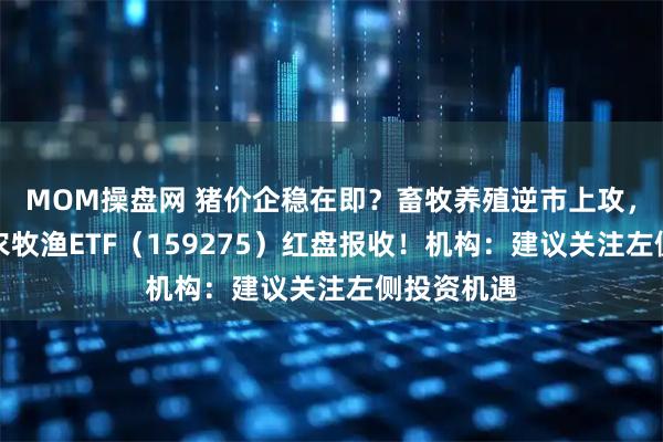MOM操盘网 猪价企稳在即？畜牧养殖逆市上攻，华宝基金农牧渔ETF（159275）红盘报收！机构：建议关注左侧投资机遇